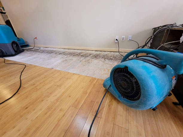 Professional Basement Flood Cleanup technician working in Justin, TX